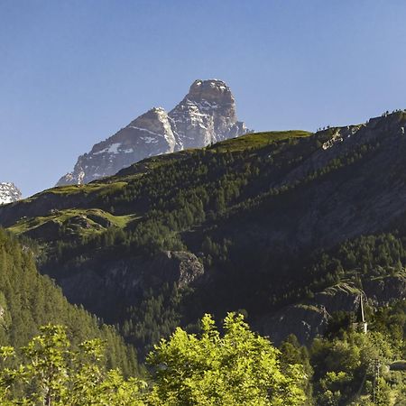 Hellochalet - Chalet Northern Lights - Family Ski Chalet With Garden Walking Distance Lift Valtournenche Dış mekan fotoğraf