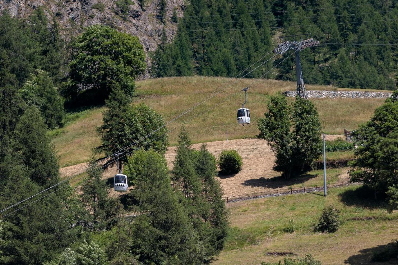 Hellochalet - Chalet Northern Lights - Family Ski Chalet With Garden Walking Distance Lift Valtournenche Dış mekan fotoğraf